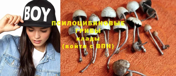 мяу мяу мука Алексин